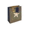 Eurowrap Brown Kraft Blue Stars Medium Gift Bag – Recyclable