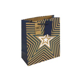 Eurowrap Brown Kraft Blue Stars Medium Gift Bag – Recyclable Paper Bag with Rope Handle – Eco-Friendly Gift Wrap for Father’s Day or Birthday
