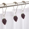 Decorative Grape Shower Curtain Hooks Rings for Bathroom Shower Rod