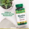 Nature's Bounty Biotin 10000 mcg, Supports Healthy Hair, Skin and