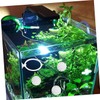 2 - Piece Betta Fish Exercise Ring & Filter Balls