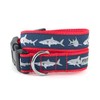 The Worthy Dog Jaws Shark Pattern Stylish & Durable Nylon
