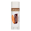 Barra Humectante Palmer S Para Labios Pack 2 Piezas Coconut