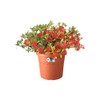 Elho Algarve Cilindro 25 - Flowerpot - Terra - Outdoor