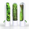 Fresh Herbs Keeper Vegetable Storage Bottle, Aromatic Herb Container, Kitchen