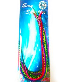 Feather Hair Extensions, 100% Real Rooster Feathers, 20 Short Rainbow Colors kit