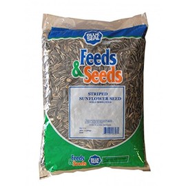 Kent Nutrition Feeds and Seeds Striped Sunflower Seeds 3 Lb. Bag