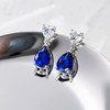 Fancime S925 Women's Birthstone Earrings, 12 Months Birthstone, Teardrop, Heart