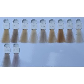 Hair Haus Super Brilliant Colour Hair Colour 3 x 100 ml + Special Colouring Brush (12-1a)