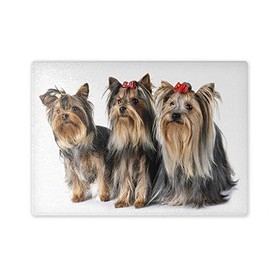 Glass Chopping Board 20 x 28 x 0.4 cm Yorkshire Terrier Three Dogs Design 02