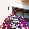 Worth Garden 6-Pack 7" Plant Hanger Bracket - Forged Wrought