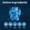 Creatine Monohydrate Gummies for Men & Women | 5000mg of