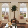 PROTINT WINDOWS Precut Elegant Flower Arched Window Film Shade, Self