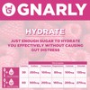 Gnarly Nutrition Hydrate Electrolyte Powder – Raspberry Exercise Hydration Drink