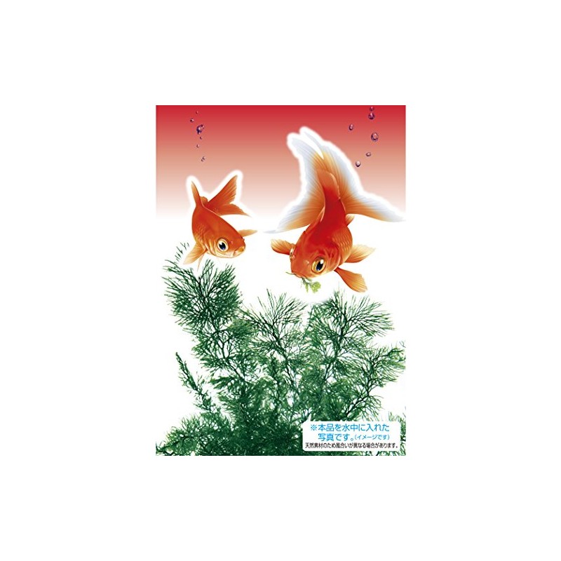 GEX Goldfish Vitality Goldfish Scenery Natural Snack Grass