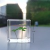 Bon Cube Mini Acrylic Resin Cube Paperweight with Preserved Flower