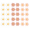 30 pcs Drawing Pins Resin Flower Pins Push Pins for
