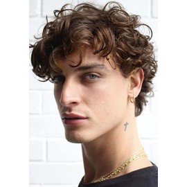 Salaibs Brown Curly Short Wig for Men Synthetic Natural Fluffy Male Hair Cap Wig Daily Party Use