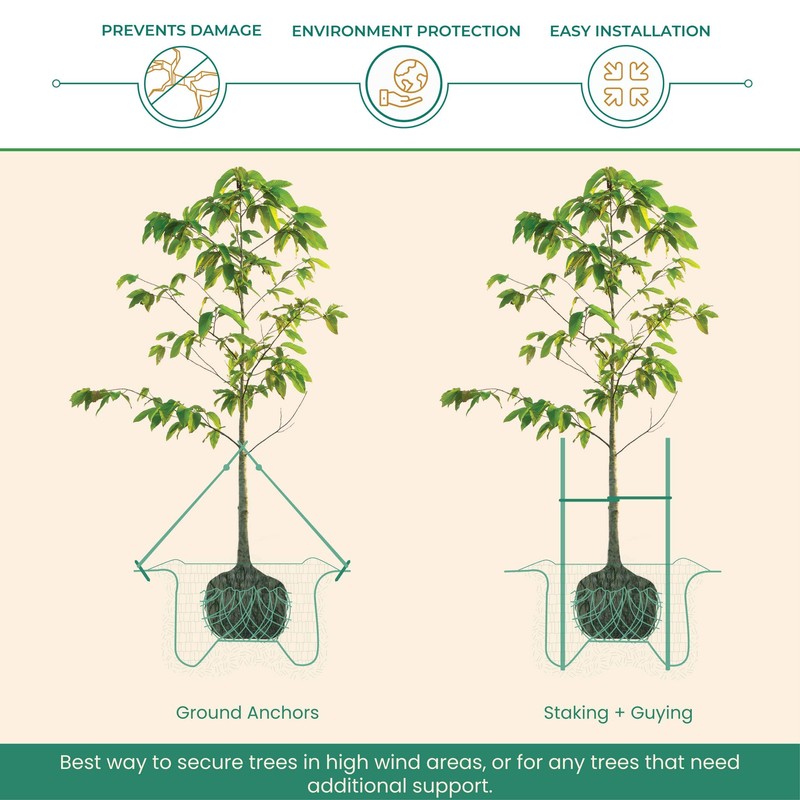 DeepRoot ArborTie Tree Straps for Staking and Guying, Flexible Tree