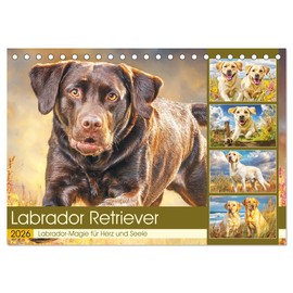 Labrador Retriever. Labrador-Magie für Herz und Seele (Tischkalender 2026 DIN A5 quer), CALVENDO Monatskalender: Diese Hunde zeigen ihre Lebensfreude ... Naturmomenten (CALVENDO Tiere)