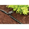 Rain Bird RBY100S Drip Irrigation In-Line "Y" Filter, 1" x
