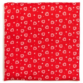 Rapeseed Cushion 19 x 19 cm Heart Red - Grain Cushion Small as Heat Cushion and Cold Cushion