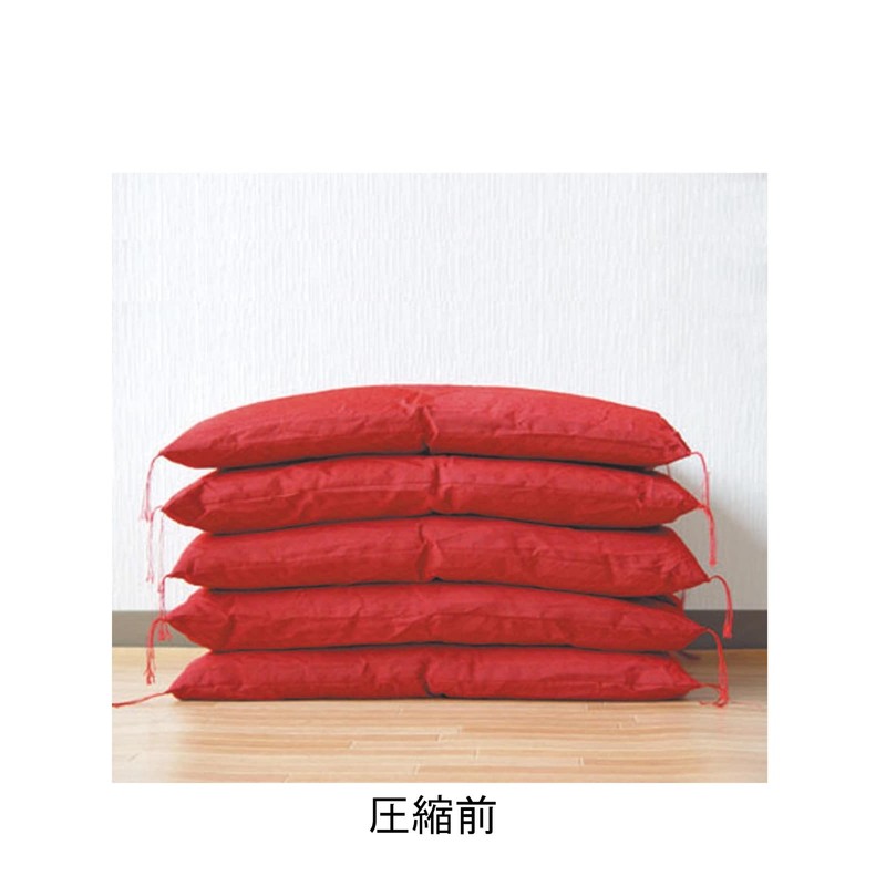 Orient Valve Type Gusseted Seat Futon Compression Bag, 1P, 35.4