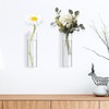 2 Pack Wall Hanging Glass Planters 1.85x5.9 Inch High Borosilicate