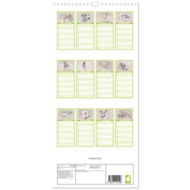 Familienplaner 2025 - Whippet 2025 mit 5 Spalten (Wandkalender, 21 cm x 45 cm), CALVENDO