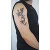 2 Sheets Dragon and Phoenix Tattoo Fake Tattoo Arm Tattoo