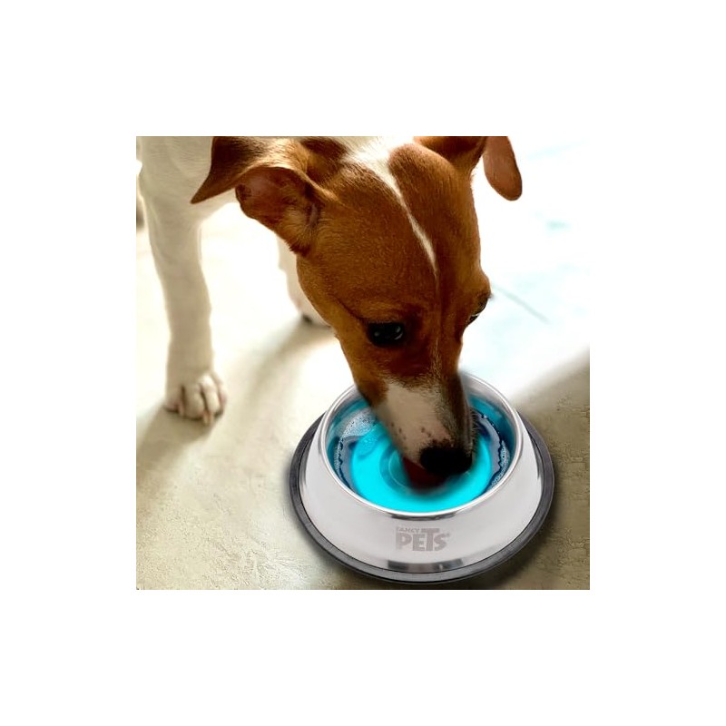 Fancy Pets Refrescante de Aliento para Perros 350 ml Cuidado