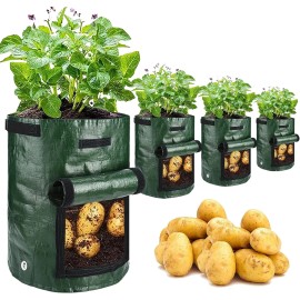 JJGoo Potato Grow Bags, 4 Pack 10 Gallon with Flap and Handles 4 Green, Green