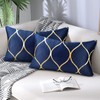 Hanrunsi Velvet Cushion Covers Navy Blue 30 x 50 Decorative