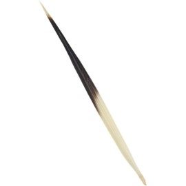 10 Pcs Porcupine Quills Hair Stick Indian Crafts Accessories Fishing Buoy DIY Sewing Project Kits