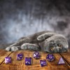 scat01 - set 7 dadi purrito gold/purple