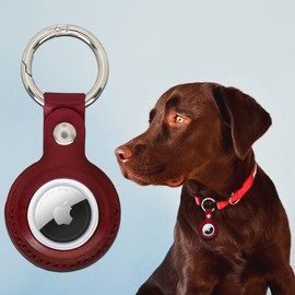 Solo Pelle Leather Case Compatible with New AirTag 2021, AirTag Accessories with Keychain/Bag Tag/Suitcase Tag/Luggage Tag/Dog Collar Pendant (Red)