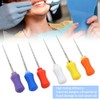 Large Tapered Endodontic Niti Files Dental Endodontic Niti Files Dental
