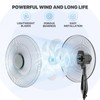 mollie Oscillating Pedestal Fan with Remote Control 12H Timer Portable