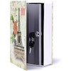 Diversion Book Safe Storage Box, Dictionary Secret Safe Can with