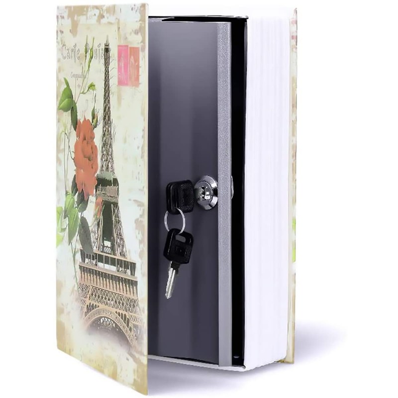 Diversion Book Safe Storage Box, Dictionary Secret Safe Can with
