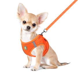 FEimaX Dog Harness and Leash Set for Small Medium Dog Cat No Pull Adjustable Soft Mesh Chihuahua Chest Harness Puppy Reflective Step-in Safety Vest for Outdoor Walking