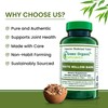 Green Organic Supplements White Willow Bark, 180 Vcaps, High Absorbable,