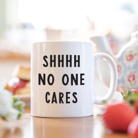 Gifts for colleagues | secret santa mugs | for funny work gifts | funny work colleague gifts | gifts for work colleagues | work colleague gifts funny (Shhh. No one cares.)