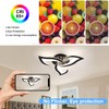 DELIPOP Modern Ceiling Light, 21W Dimmable Ceiling Lamp Remote Control,