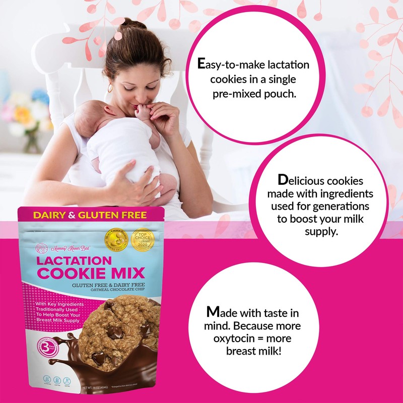 Lactation Cookies Mix - Gluten Free and Dairy Free Oatmeal