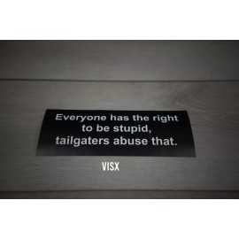 VISX Everyone has the right to be stupid Bumper Sticker funny Prank caution tailgate