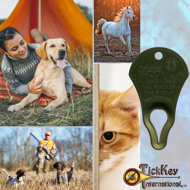 The Original Tick Key -Tick Detaching Device - Portable, Safe
