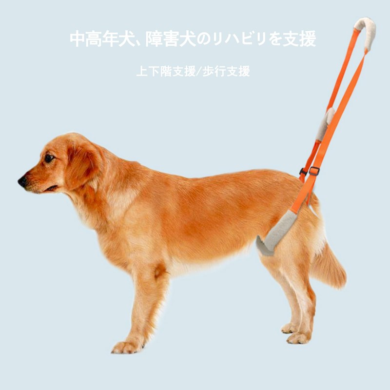 Dog Nursing Harness, Back Leg Support, Walking Supporter, Small, Medium,