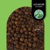 Allspice Berries whole (250g, 8.8oz), myrtle pepper, allspice grains 100%