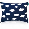 Toddler Pillow for Sleeping, 14" x 19" for Small Kids